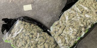 Марихуаната