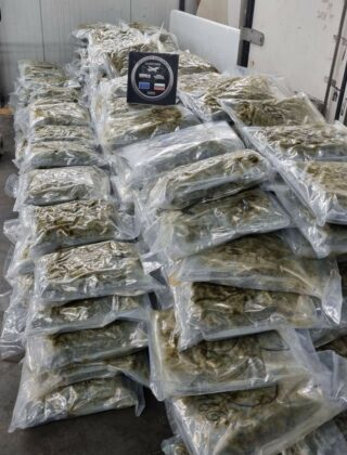 Марихуаната