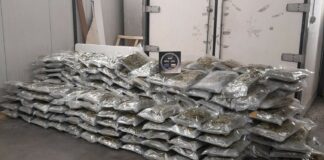 Марихуаната