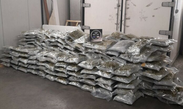 Марихуаната