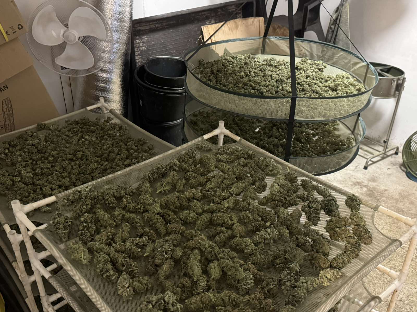 В рамките на операция за противодействие на производството и разпространението