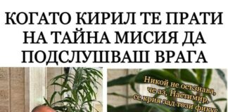 Настимир се крие