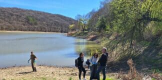 Местност "Пчелина"