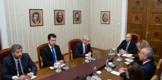 Консултации с Румен Радев