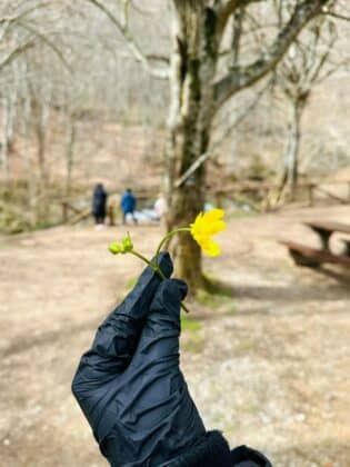 Почистване на водопад Докузак