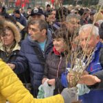 Подаряване на дръвчета