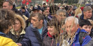 Подаряване на дръвчета