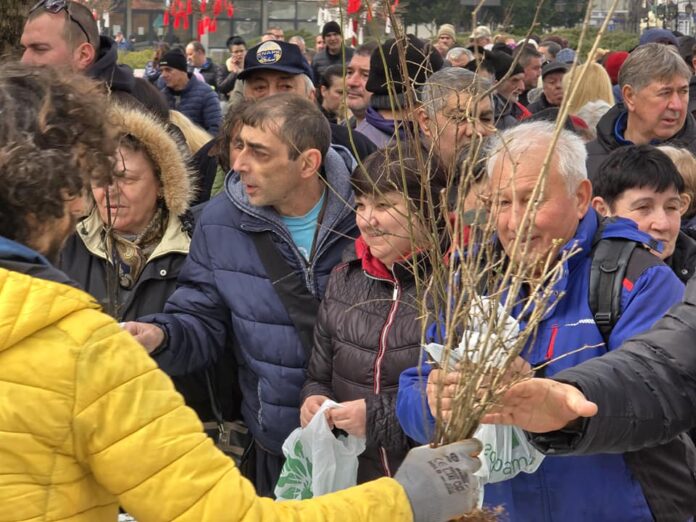 Подаряване на дръвчета