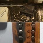 Последствия от палеж