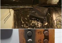 Последствия от палеж