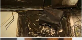 Последствия от палеж