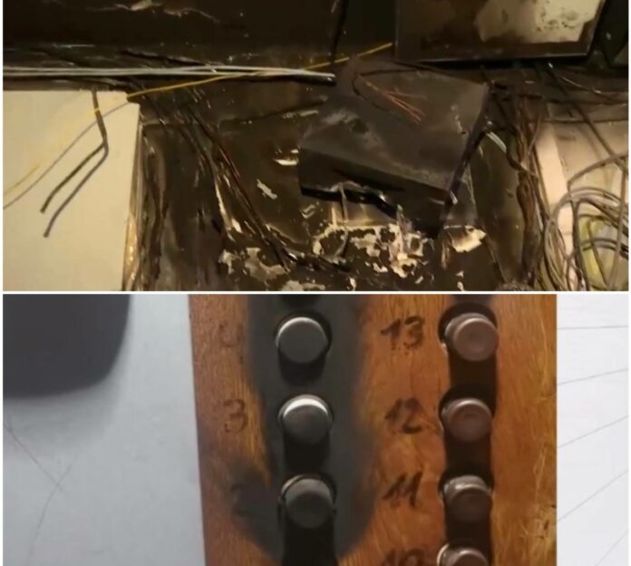 Последствия от палеж