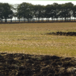 Полезащитни горски пояси