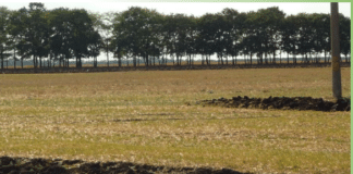 Полезащитни горски пояси