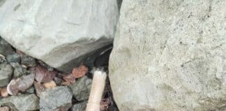 Ръчна граната