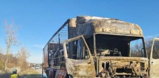 Товарен автомобил