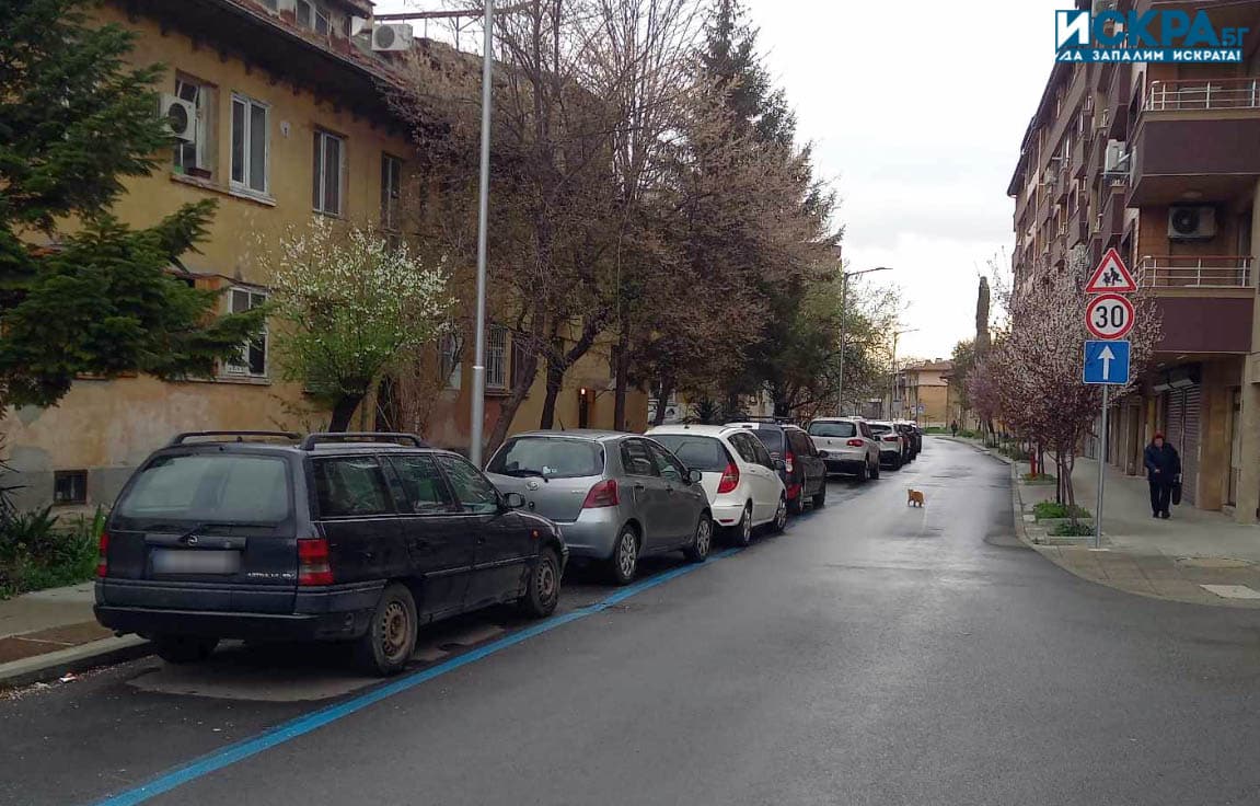 След всеки ремонт на улица валят подписки че шофьорите са