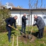 Залесяване