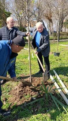Залесяване