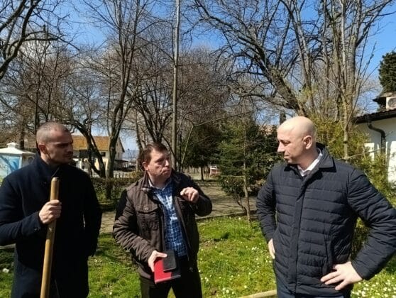 Залесяване