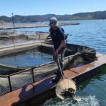 Зарибяване