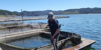 Зарибяване