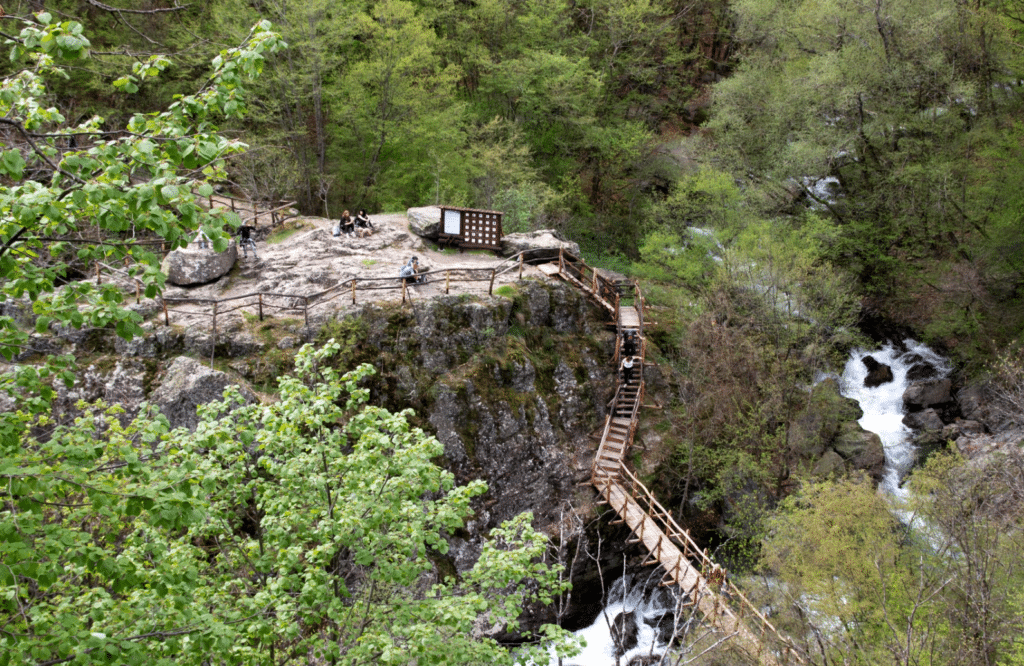 В Национален парк Централен Балкан е нужно да се ограничи
