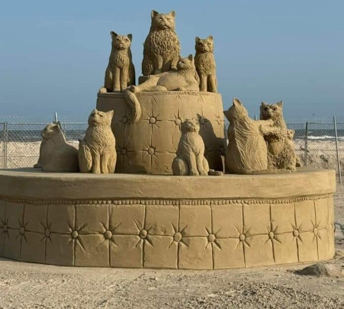 Бургаските котки