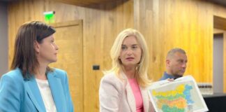 Зарица Динкова