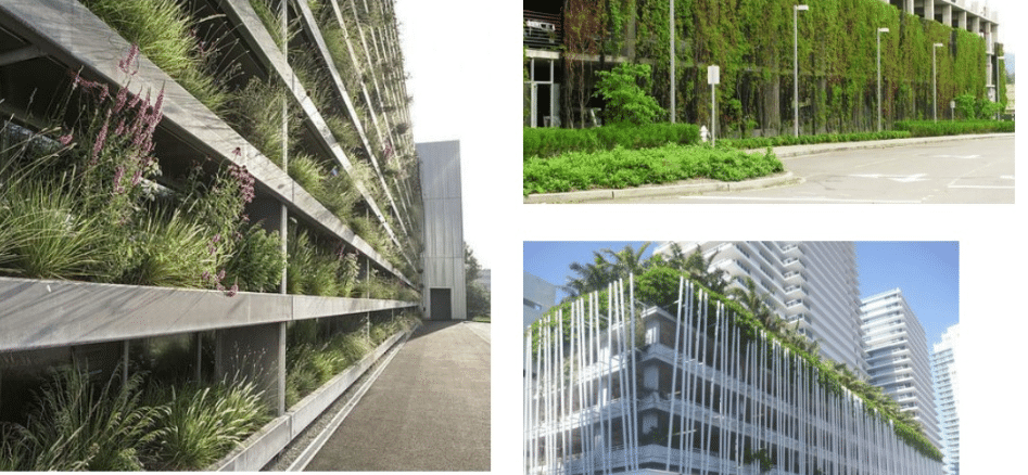 В продължение на повече от десетилетие Община Бургас ежегодно залага