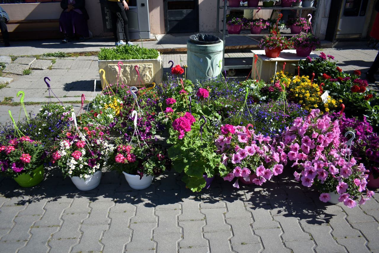 Изложението Цветна пролет се организира от Дейност Пазари и тържища