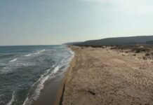 Дюнен комплекс в България „Камчийски пясъци“