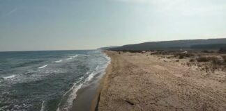 Дюнен комплекс в България „Камчийски пясъци“