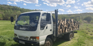 Камион с дървесина