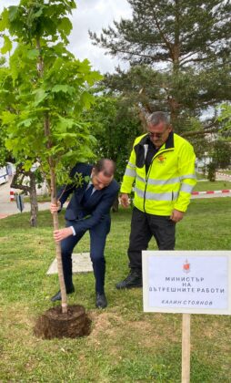 Калин Стоянов