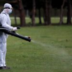 Обезпаразитяване