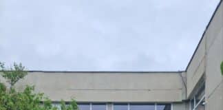 Опасното дърво