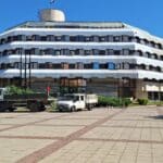 Отсичане на дърветата