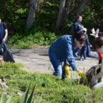 Почистване на Варна