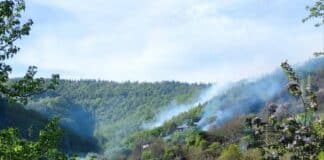 Пожар край Кутугерци