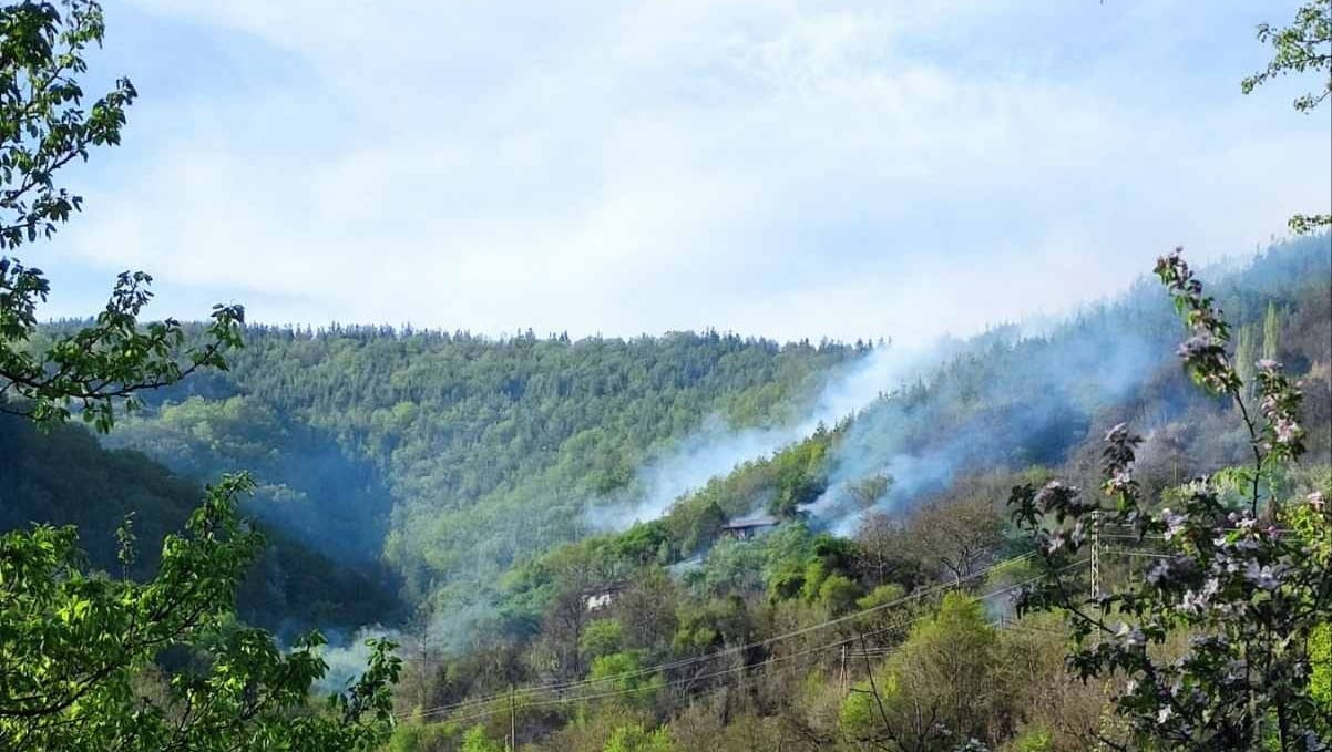 Горски служители се борят с пожар в района на село