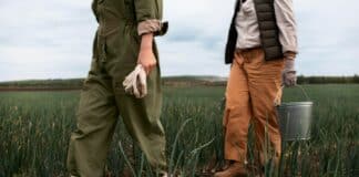 Работа, работници