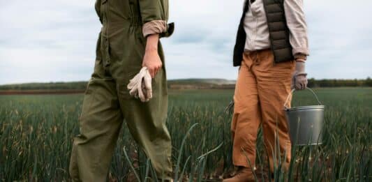 Работа, работници