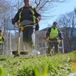 Разчистване