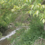 Река в Разград