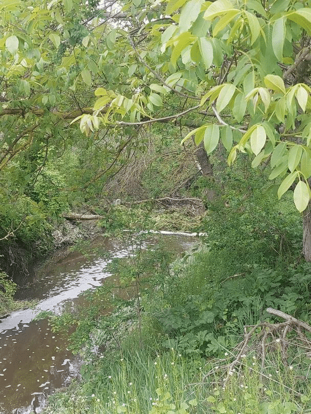 Река в Разград