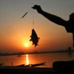 Нощен риболов