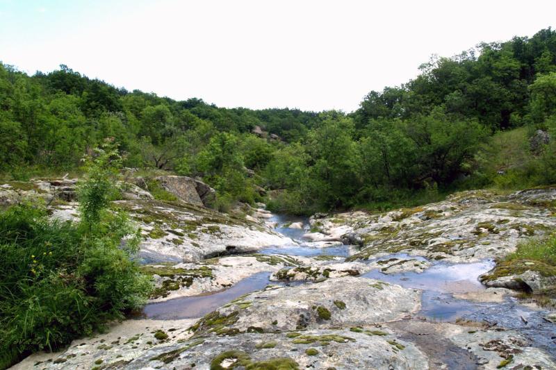 Българска фондация Биоразнообразие БФБ обявява уникална възможност за младежи с