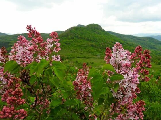 Поход до Трите Каи