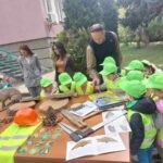 Държавно горско стопанство